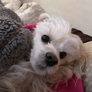 Meet your Posher, Smith